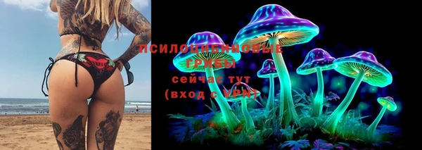 мескалин Богданович