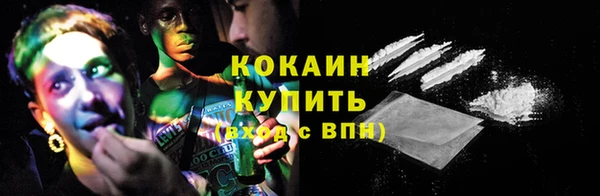 СК Бронницы