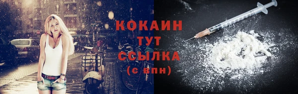 мескалин Богданович