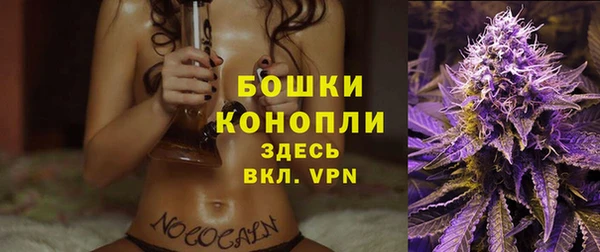 СК Бронницы